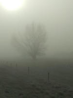 /album/fotos/mist-wilp-3-small-jpg/